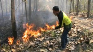 Kebakaran Hutan Kemlagi Makin Meluas, Petugas Menduga Ada Yang Membakar