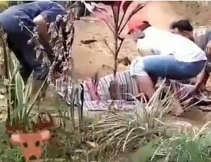 Tragis ! Gadis Muda Tewas Saat Naiki Kuda