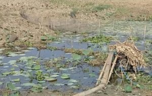 Akibat Kekekringan, 44 Waduk Dan Rawa Di Lamongan Hanya Tertinggal 3 Persen