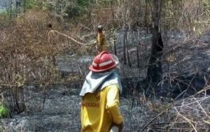 Lahan Kosong Seluas 2 Hektar Terbakar
