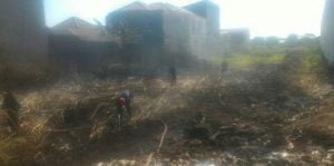 Usai Bakar Sampah Ditinggal Tidur, Sijago Merah Berkobar