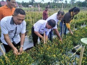 BTS Bagian Dari Harapan Petani Halut