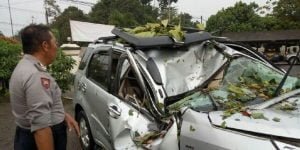 Tertimpa Pohon, Seorang Ayah Alami Luka Dan Anak Tewas
