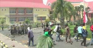 Halaman Kantor DPRD Halut Dihujani Dengan Buah Kelapa.