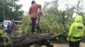 Hujan Disertai Angin, Berakibat Jalur Pantura Ngadat