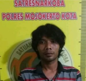 Ingin Dapatkan Penghasilan Pemuda Asal Dawarblandong Diciduk Petugas