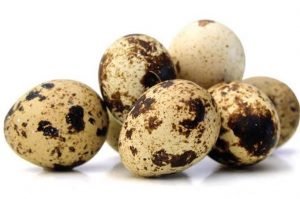 Ukurannya Yang Kecil, Ternyata Telur Puyuh Kaya Manfaat