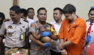 Selundupkan Hewan Dilindungi WNA Asal Rusia Diringkus