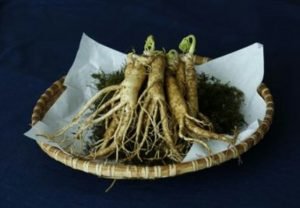 Ternyata Ginseng Miliki Manfaat Yang Hebat