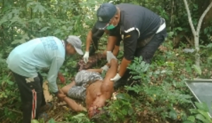 Potong Kayu Warga Buleleng Tewas