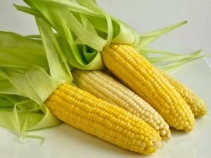 Ternyata Jagung Banyak Miliki Khasiat, Dan Inilah Khasiat Dari Konsumsi Jagun