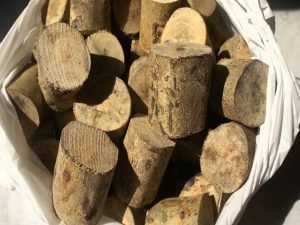 Ternyata Kayu Ular Bisa Atasi Lemah Syahwat