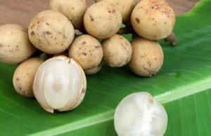 Ternyata Duku Baik Untuk Dikonsumsi Ibu Hamil