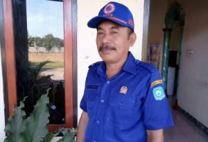 Hindari Abrasi Pantai, BPBD Halut Akan Tanam Pohon Cemara