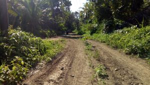 Akses Jalan Dan Jaringan Komunikasi Tidak Memadai, Masyarakat Desa Liaro Mengeluh