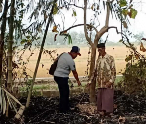 Pilu ! Nenek 71 Tahun Meninggal Dengan Cara Terbakar