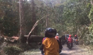 Jalur Pacet, Cangar Batu Ditutup ! Ada Apa