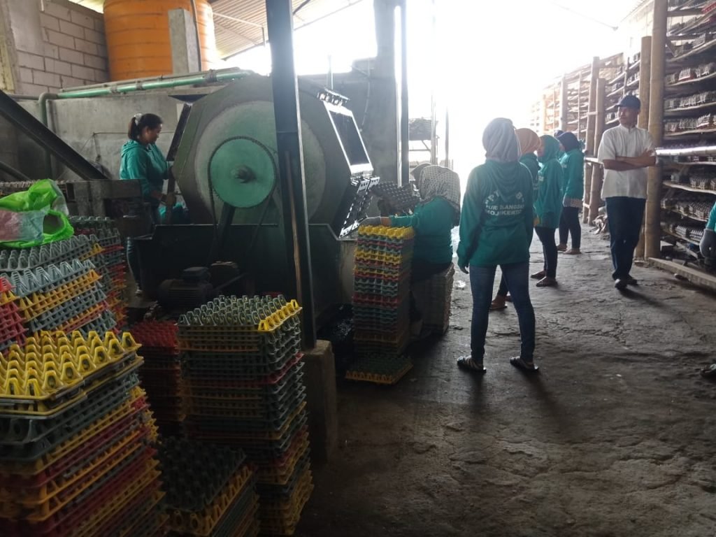 Ini video pemeriksaan PT Putra Jaya Sejahtera Bersama