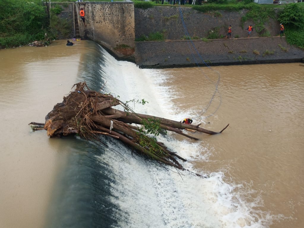 Pohon Raksasa Nyangkut Di Dam Keramat, Gagal Dieksekusi
