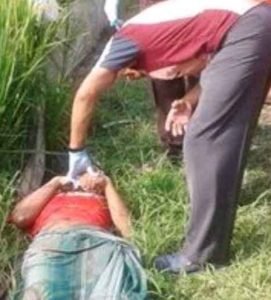 Petani di Lamongan Tewas Tersengat Listrik Jebakan Tikus