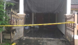 Tanam Ganja, Rumah Penjual Kucing di Lidah Kulon Digerebek Polda Jatim