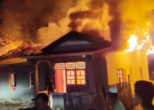 Bungkus Pepaya Bikin Rumah Warga Jombang Dilalap Si Mago Merah