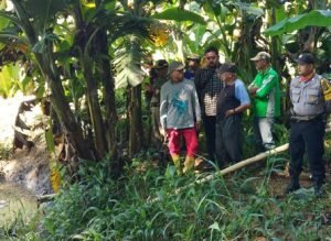 Sempat dilaporkan Hilang, Kakek Tewas di Pembuangan Kotoran Sapi