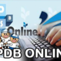 PPDB