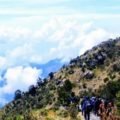 Gunung lawu