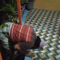 Pasien sembuh covid 19