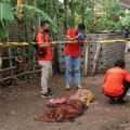 Diduga Anak Bunuh Ayah Kandung di Tulungagung Hebohkan Warga