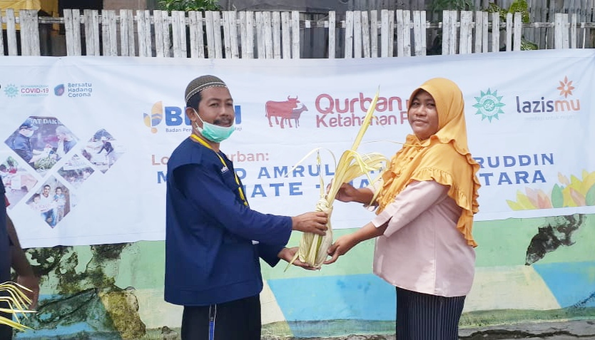 Hari Raya Idul Adha Dalam Situasi Covid-19, LAZISMU Malut Sembilakan 6 Ekor Sapi Bagi Masyarakat