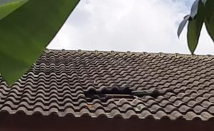 Ini Tujuh Narapidana BNNP Jambi Yang Kabur Dari Rutan