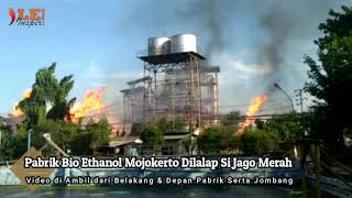 https://lenteramojokerto.com/2020/08/11/sebab-pabrik-bioetanol-pt-energi-agro-nusantara-enero-meledak/