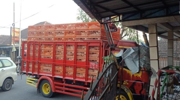 Truk Ayam Potong Tabrak Rumah, Ini Kronologisnya