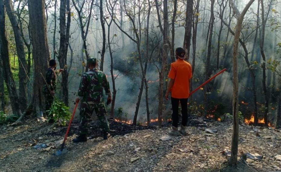 Hutan Kemlagi Terbakar, Ini Langkah BPBD