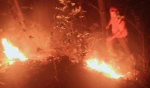 Lahan RPH Kemlagi Terbakar