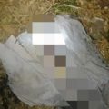 Mayat Bayi Terbungkus Kain Kafan di Sungai  Hebohkan Warga Situbondo