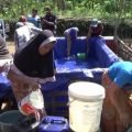 Kemarau Panjang, Enam Kecamatan di Lumajang Alami Kekeringan