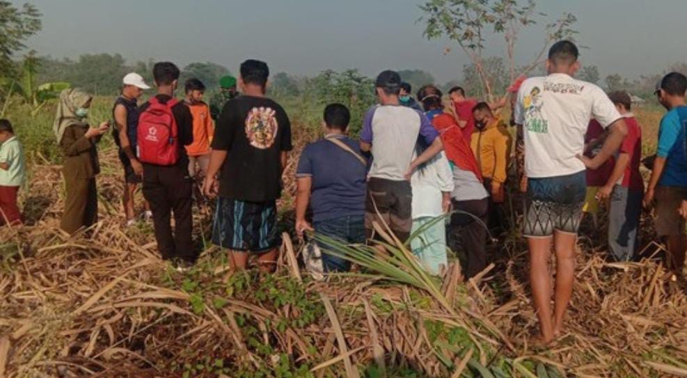 Penemuan Mayat di Kebun Tebu Mojokerto Gegerkan Warga