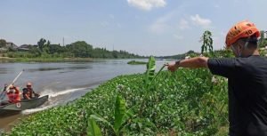 BPBD Kota Kediri Lakukan Pencarian Buaya Putih, Yang Sempat Viral