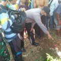 Kuburan Bayi Di Kebun Sengon Probolinggo Gemparkan Warga