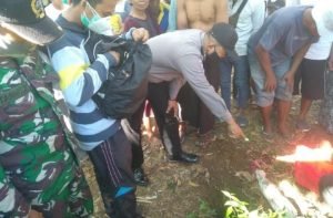 Kuburan Bayi Di Kebun Sengon Probolinggo Gemparkan Warga
