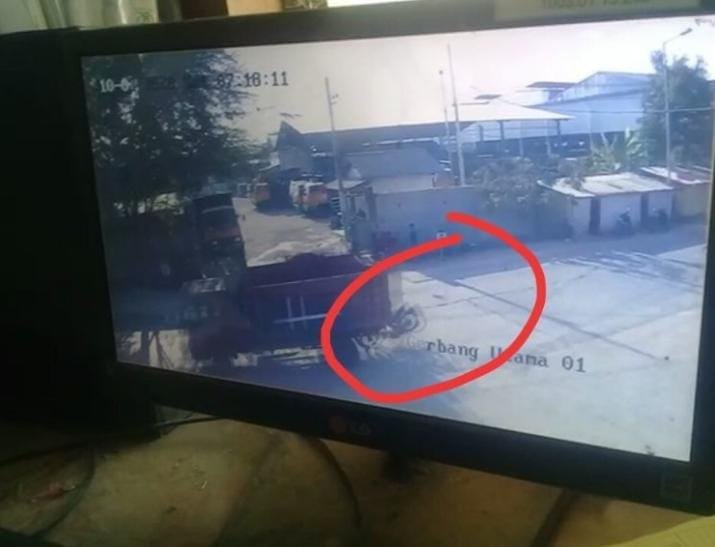 Vidio, Detik Detik Pemotor Santap Bak Truk Hingga Tewas