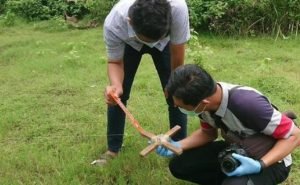 Fakta Baru, Pria Meninggal Di Depan Rumah Kos Di Trenggalek Karena Layang Layang