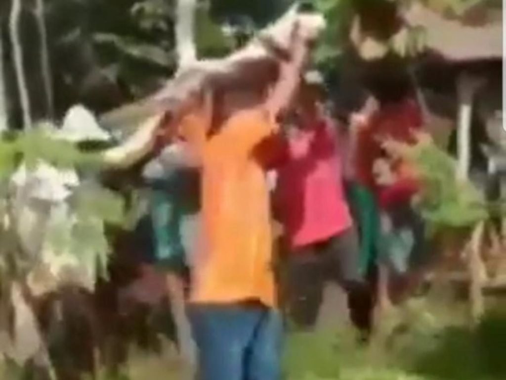 Viral – Beredar Video Pembongkaran Makam Warga Jember Setelah 6 Bulan di Kubur, Ada Apa?