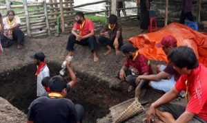 Kerbau Keramat Kraton Surakarta Mati Proses Penguburan Layaknya Manusia