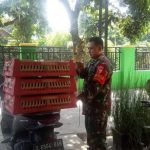 Anggota TNI di Jombang Sambi Beternak Bebek Berbuah Sukses