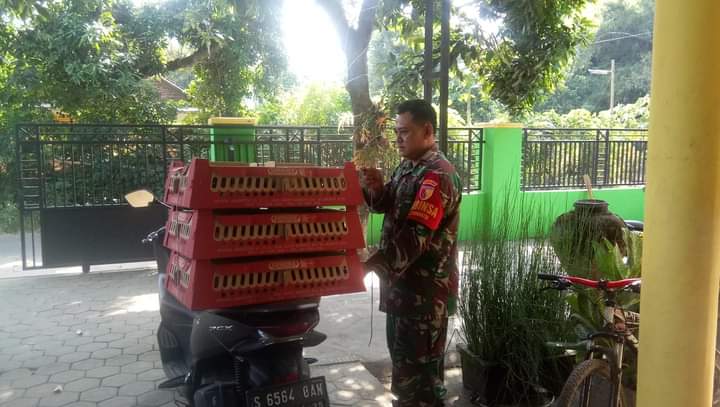 Anggota TNI di Jombang Sambi Beternak Bebek Berbuah Sukses