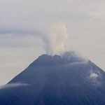Merapi Siaga 3 Satwa liar turun Gunung